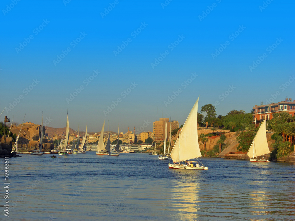 1000_F_77863511_uA4PSUnoqsItbebnjI9AgUMXNp5kF9xz.jpg