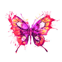 butterflies design