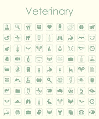 Set of veterinary simple icons