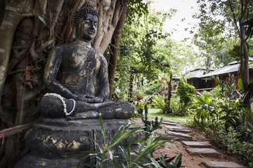 Fototapeta na wymiar Buddha in the park, Thailand