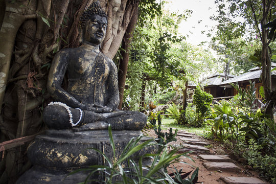Buddha in the park, Thailand