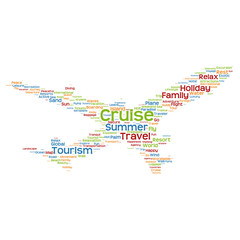 Fototapeta na wymiar Conceptual travel or tourism plane word cloud