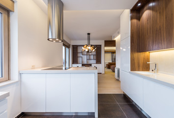 white and brown kitchen interior