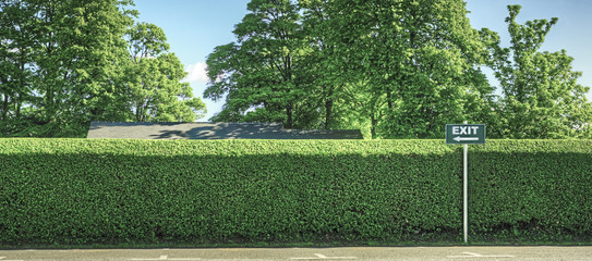 Exit and Hedge