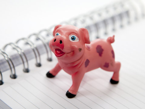 cochon tirelire &eacute;conomies sur cahier a spirales