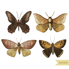 Naklejka premium watercolor, butterfly, red, brown, pattern, wallpaper