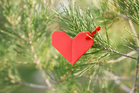 Pine branch with Origami heart pin - Powered by Adobe