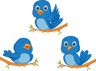 blue bird cartoon
