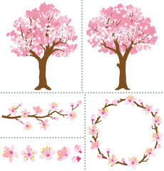 Cherry Blossoms for Design Elements