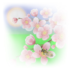 spring background with cherry blossoms and bees