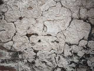 Old cracked cement wall.