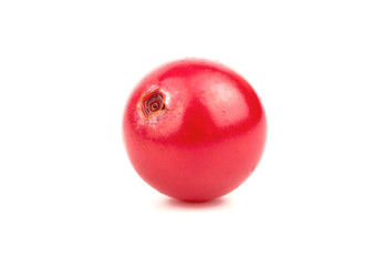 Cranberry