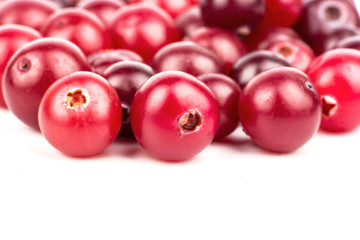 Cranberry