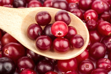Cranberry in a spoon
