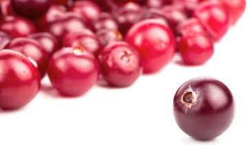 Cranberry