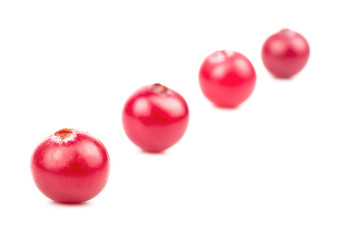 Cranberry