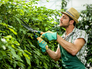 farmer pruning plants