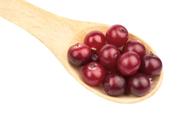 Cranberry in a spoon