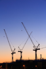 Fototapeta premium Many cranes at Australian construction site