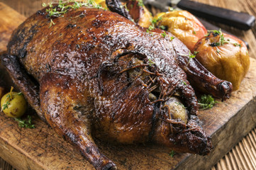 Stuffed Christmas Duck