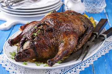 Stuffed Easter Duck