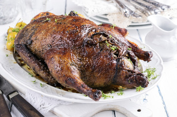 Stuffed Christmas Duck