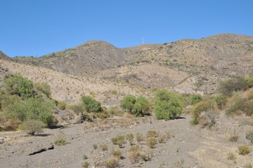 The Altiplano. Bolivia