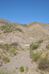 The Altiplano. Bolivia