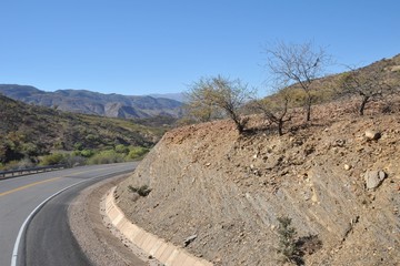The Altiplano. Bolivia