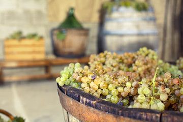 grapes in a vat andwine making equipement on the background