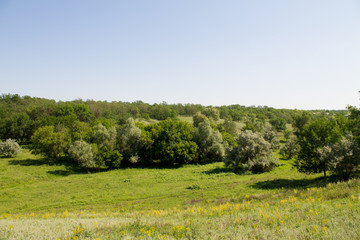 Fototapeta premium Landscape - nature, the view from the hill