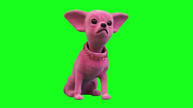 pink Chi-hua toy dog accessory for cars Green Screen