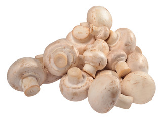 Heap of mushrooms on a white