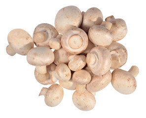 Heap of mushrooms on a white
