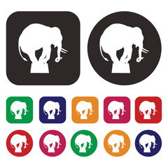 Circus icons / Elephant icon