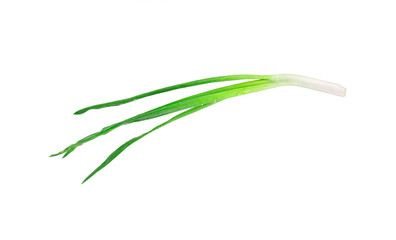 Fototapeta premium Beautiful spring onions