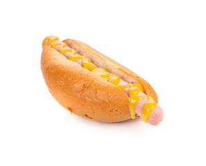 Hotdog with mustard