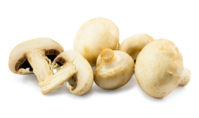 mushrooms isolated on white background