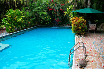 Tropical pool