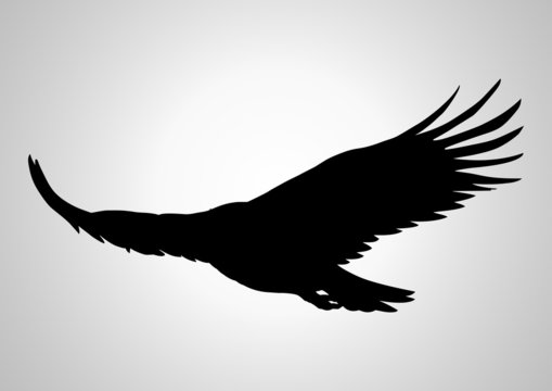 Silhouette illustration of a soaring eagle