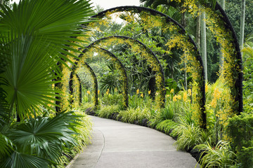 Sentier du jardin botanique