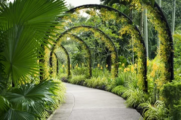 Tischdecke Botanical Garden path © Yury Zap