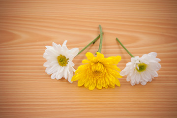 Obraz premium arrangement flower on wooden with empty space background