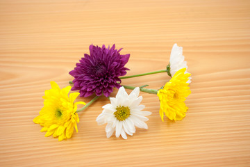 arrangement flower on wooden background