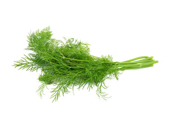 Fresh dill isolated on a white background