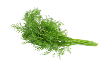 Fresh dill isolated on a white background