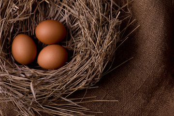 chicken organic eggs with straw in nest on rustic background