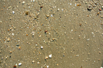 Sea Sand Texture