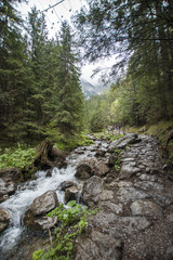 Obraz premium Na górskim szlaku, dolina Strążyska, Tatry