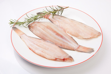 Raw sole fish with rosemary